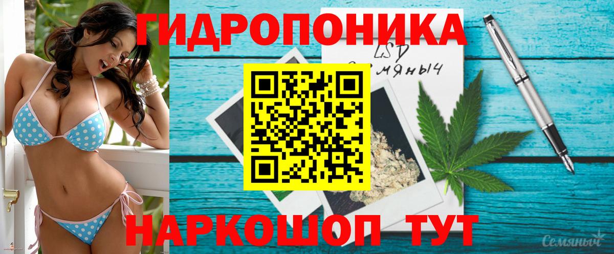 Бошки Шишки MAZAR  Марихуана тримм  Удомля  МАРИХУАНА Bruce Banner  Вход с VPN 